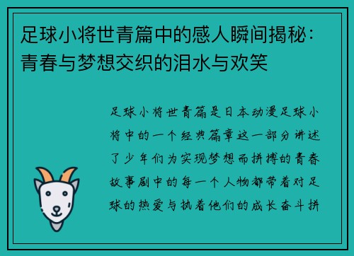 足球小将世青篇中的感人瞬间揭秘：青春与梦想交织的泪水与欢笑